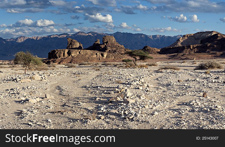 Monument Of Desert, 25 Km North Of Eilat, Israel