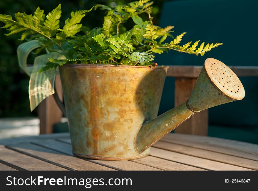 Warm light spills over a gold colored watering can filled with a green fern. Warm light spills over a gold colored watering can filled with a green fern