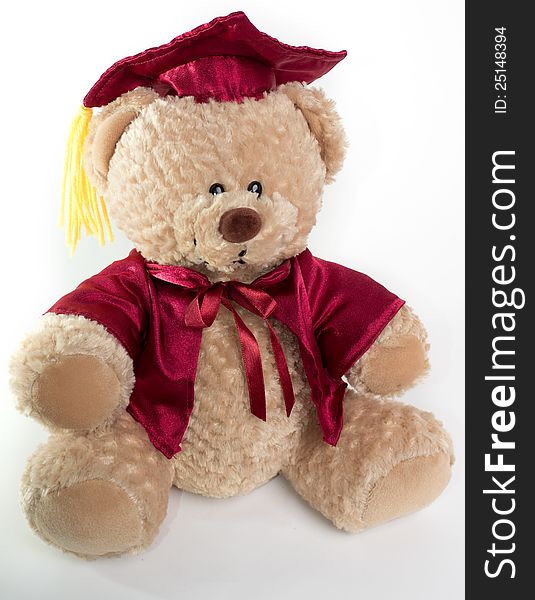 Teddy bear in red regalia and graduation cap. On white background. Teddy bear in red regalia and graduation cap. On white background