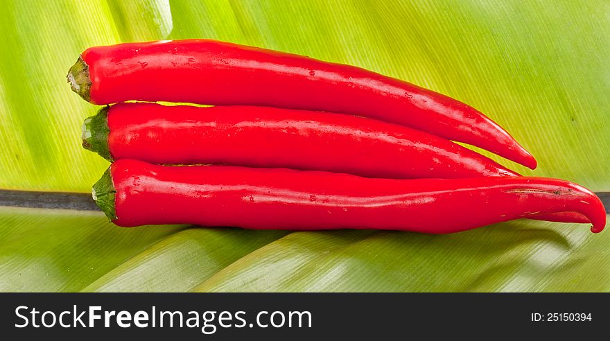 Red Sweet Peppers On Leaves