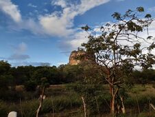 Sri Lanka Is One Of The Most Bio-diverse Islands In The World. This Image Is Got Near Sigiriya Area.  Sigiriya Is One Of The Most Royalty Free Stock Image