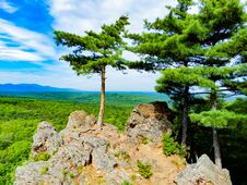 Rocky Hill With Abundant Vegetation. Cedars Grow Right In The Rocky Rock. Nature Protection Zone Near Khabarovsk In The Khekhtsir Stock Photography