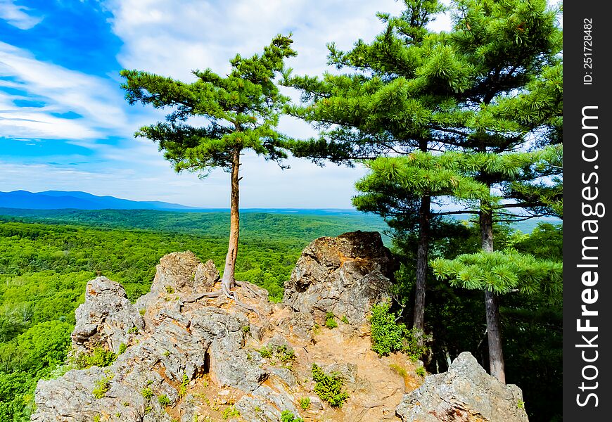 Rocky hill with abundant vegetation. Cedars grow right in the rocky rock. Nature protection zone near Khabarovsk in the Khekhtsir