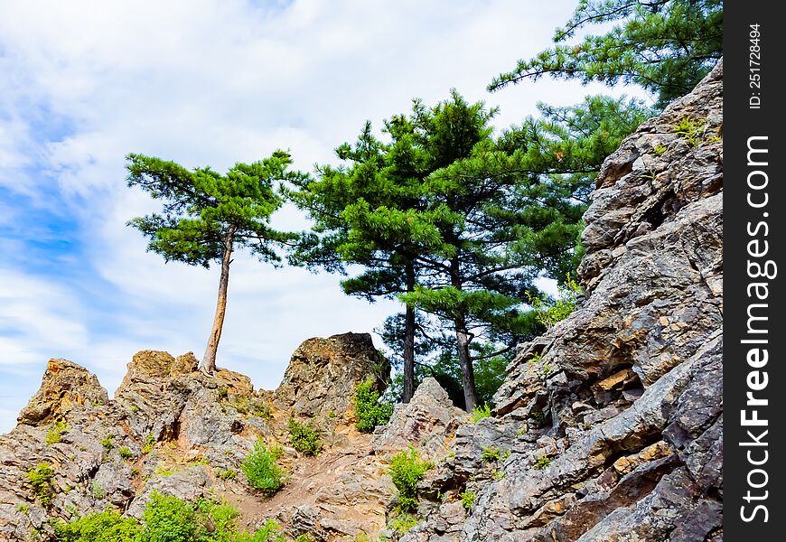 Rocky hill with abundant vegetation. Cedars grow right in the rocky rock. Nature protection zone near Khabarovsk in the Khekhtsir