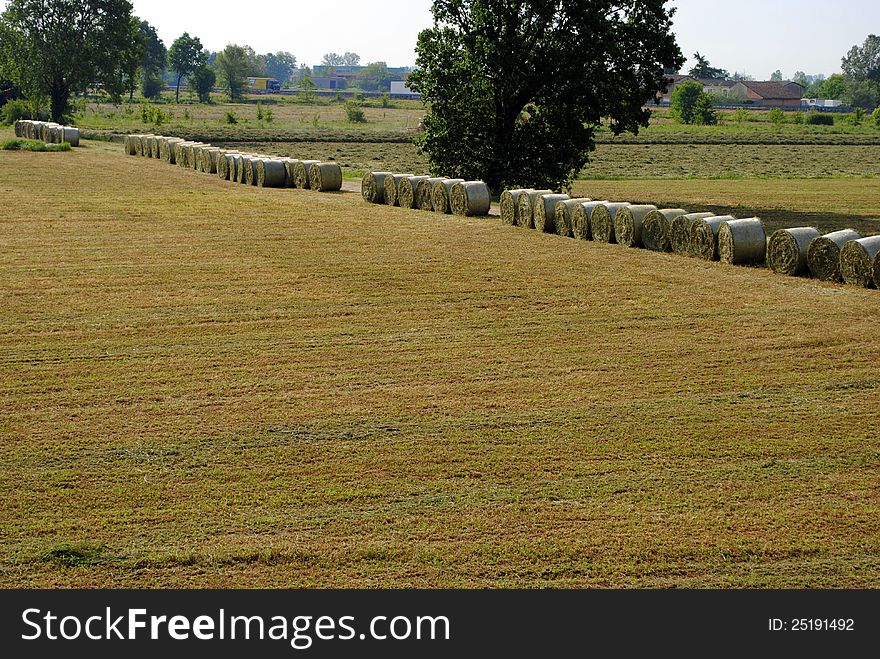 Farmland landscape