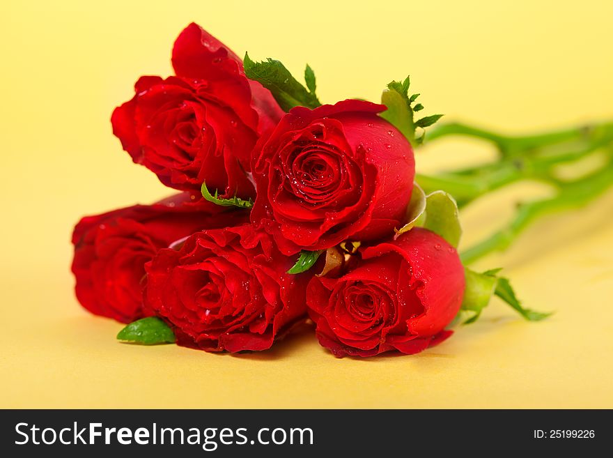 Bunch of red roses isolated on a yellow background. Bunch of red roses isolated on a yellow background.