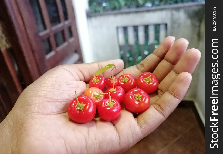 Red cherry on hand ripe fruits