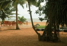 Tropical Beach With Palm Tree Royalty Free Stock Images Tropical Beach With Palm Tree Royalty Free Stock Images