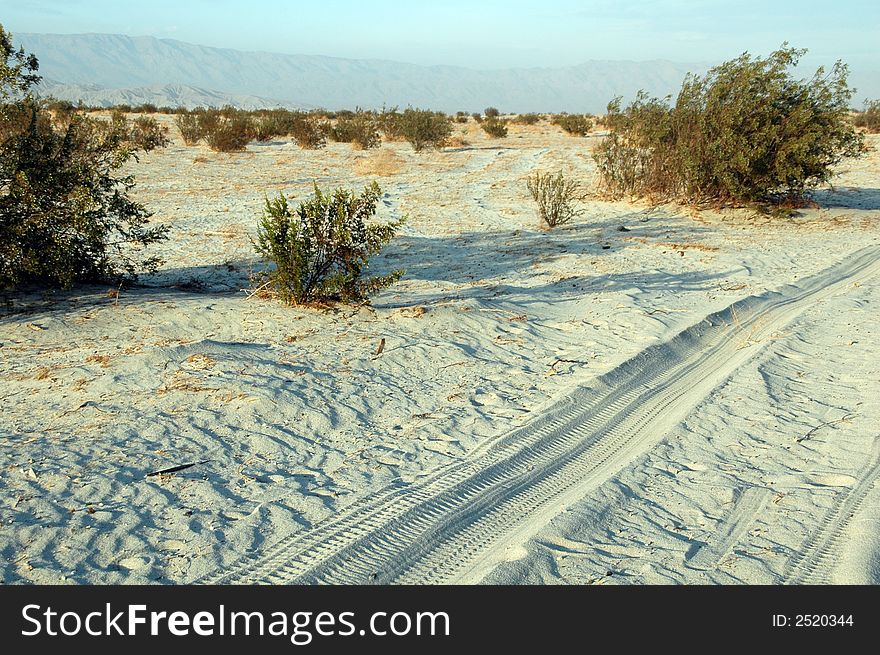 Desert In Palm Springs