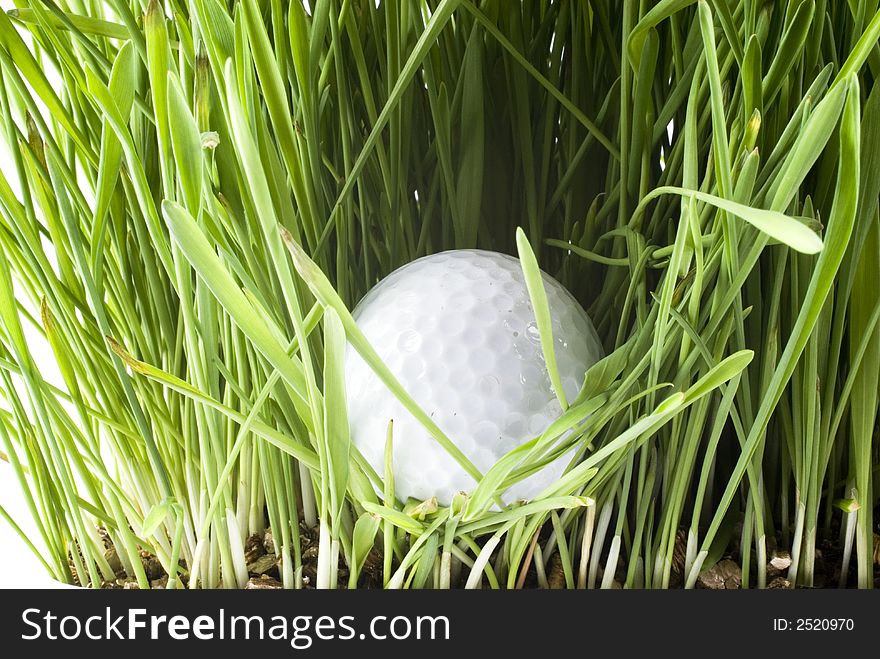 Golfball hidden in the green grass