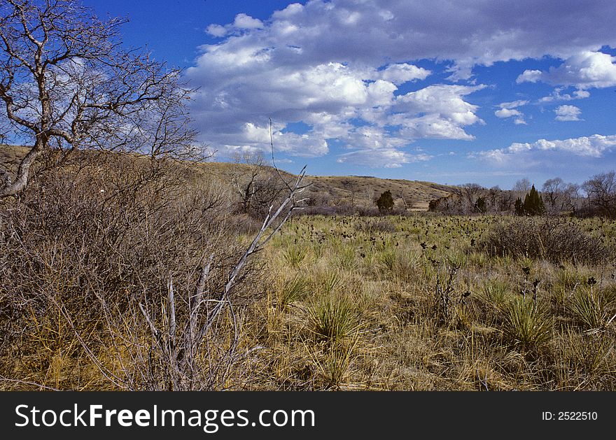 Landscape from colorado where the clouds and sky are still great. Landscape from colorado where the clouds and sky are still great