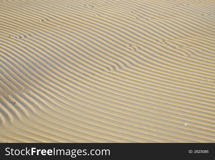 Dunes on a beach in Jürmala