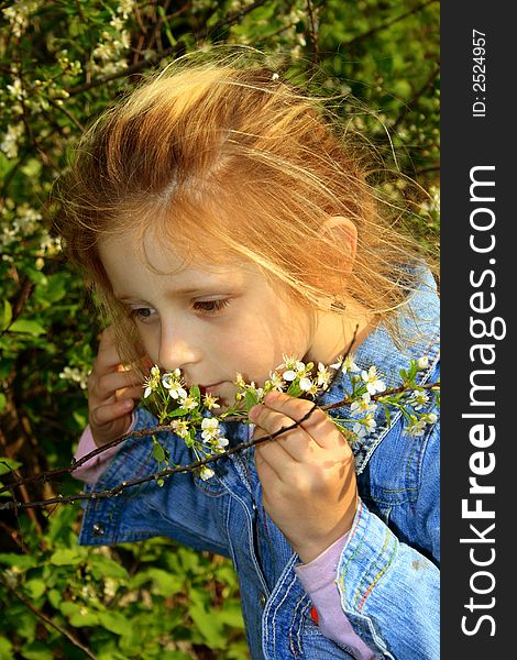 The small girl near a tree and noses a flowers. The small girl near a tree and noses a flowers