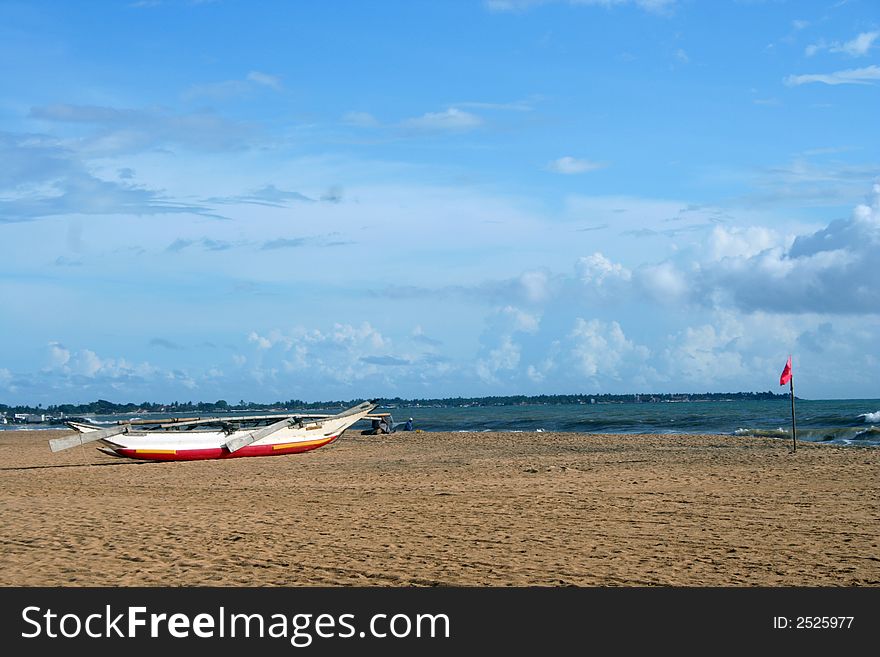 Tropical beach with palm tree