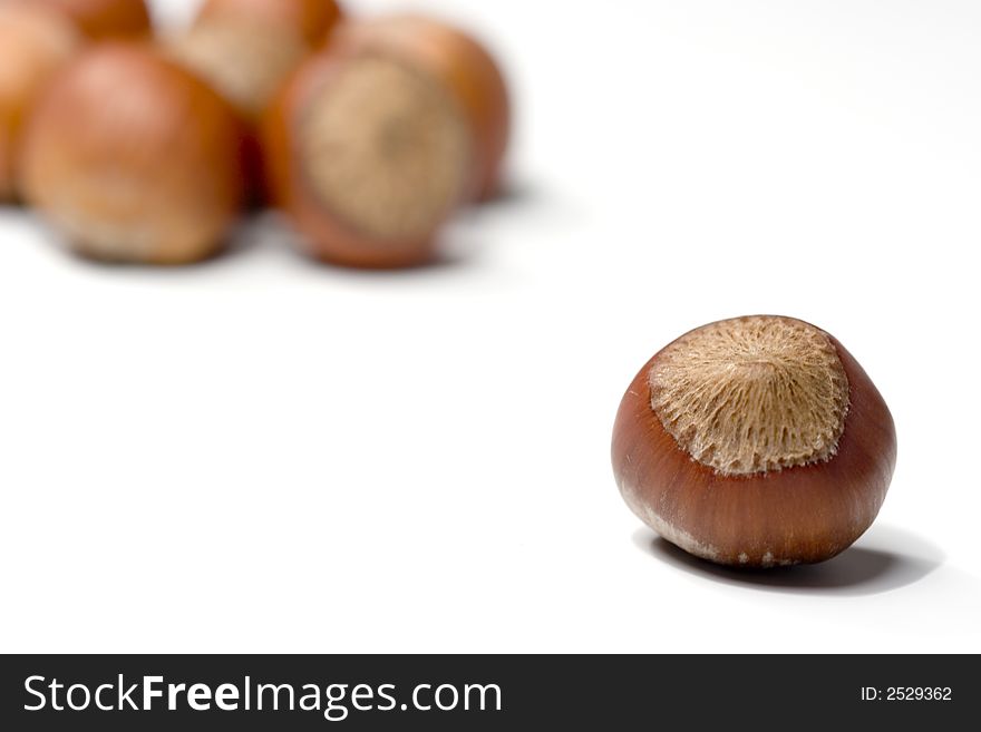 Hazelnuts isolated on white close-up