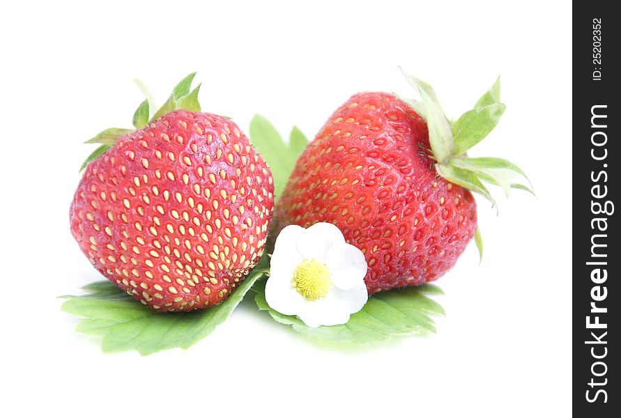 Strawberries with green leaves on a white background