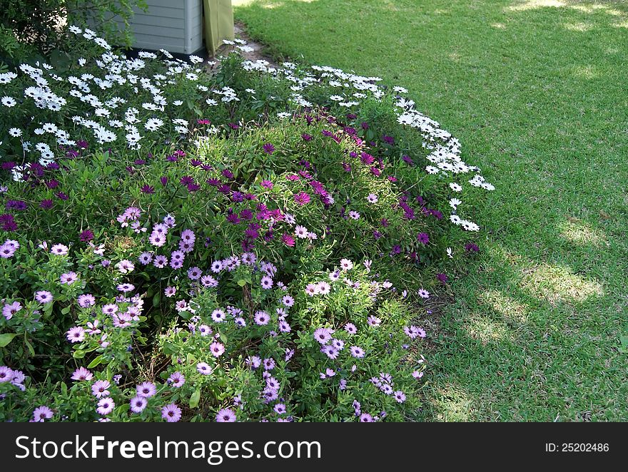 Flowerbed In The Garden