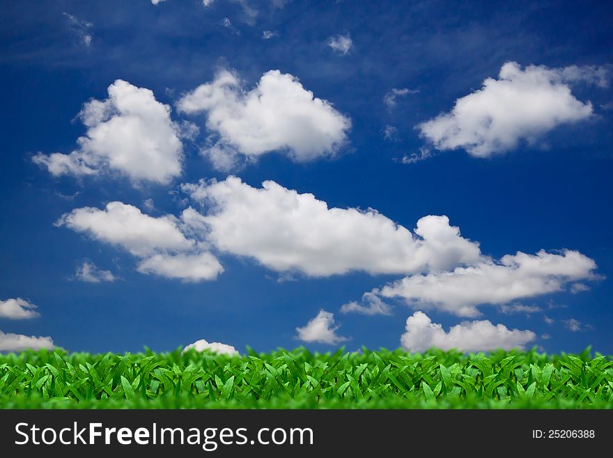 Green grass over a blue sky background