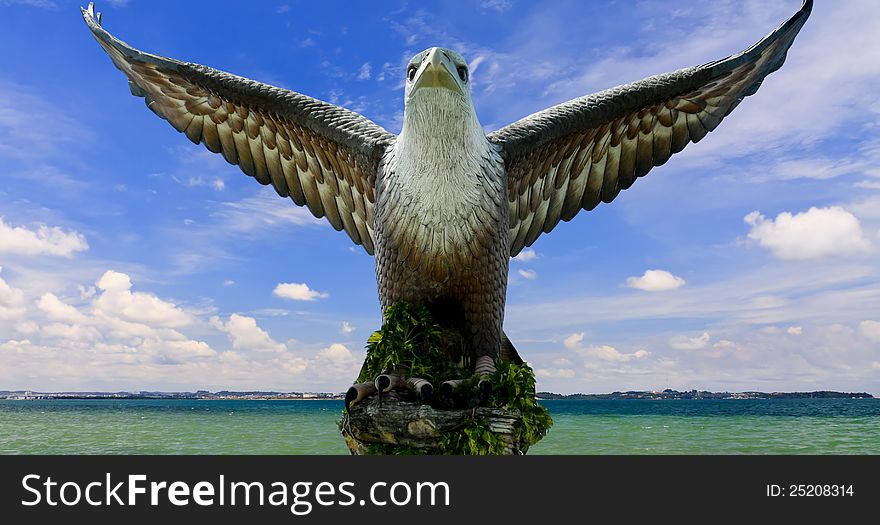 Eagle with it's wings spread and blue sky and sea at background