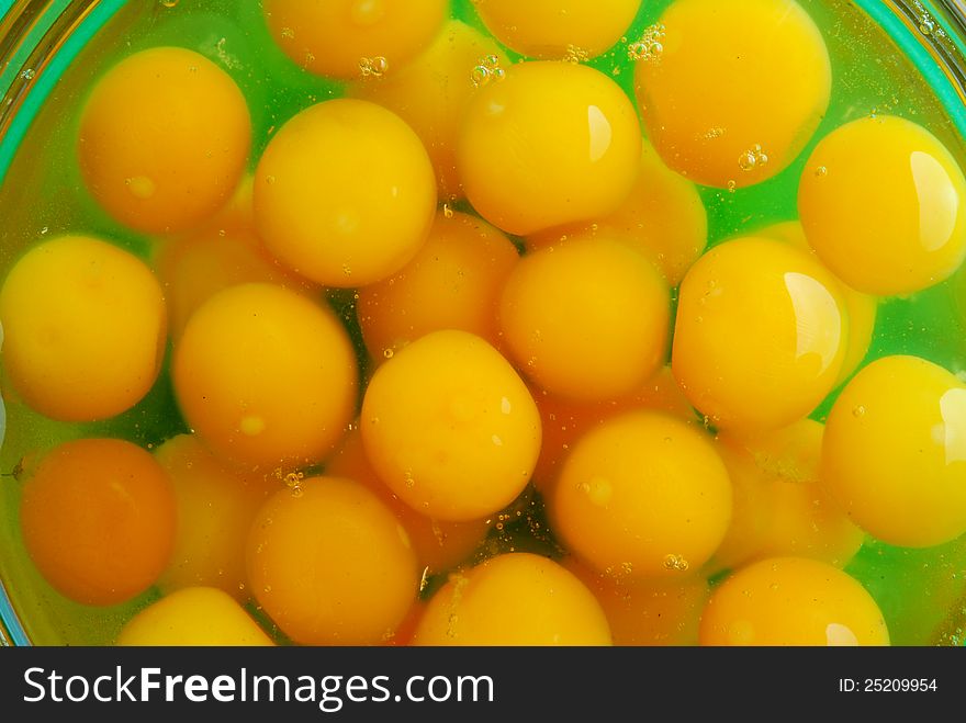 Image of quail egg blooms. Image of quail egg blooms