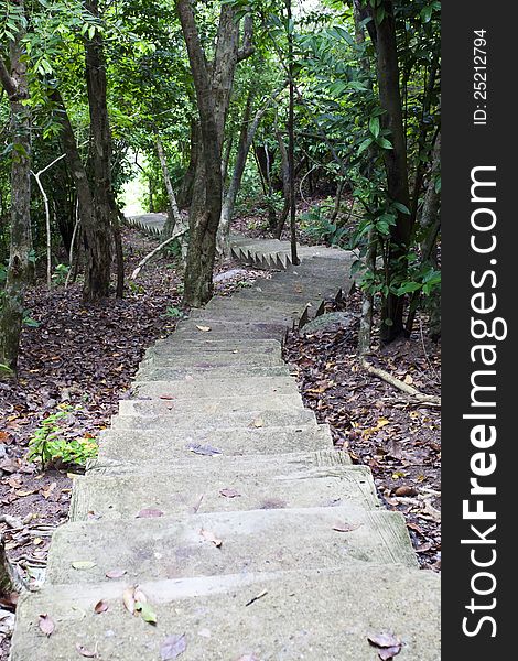 Stairway in the jungle at nang yuan island