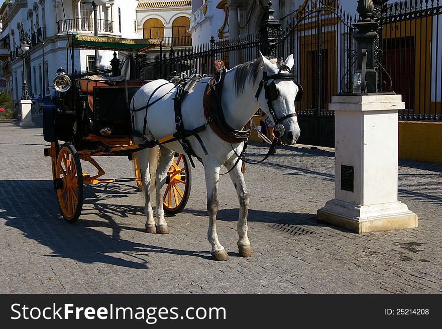 Traditional white horse carriage in Seville. Spain. Touristic transport. Traditional white horse carriage in Seville. Spain. Touristic transport.