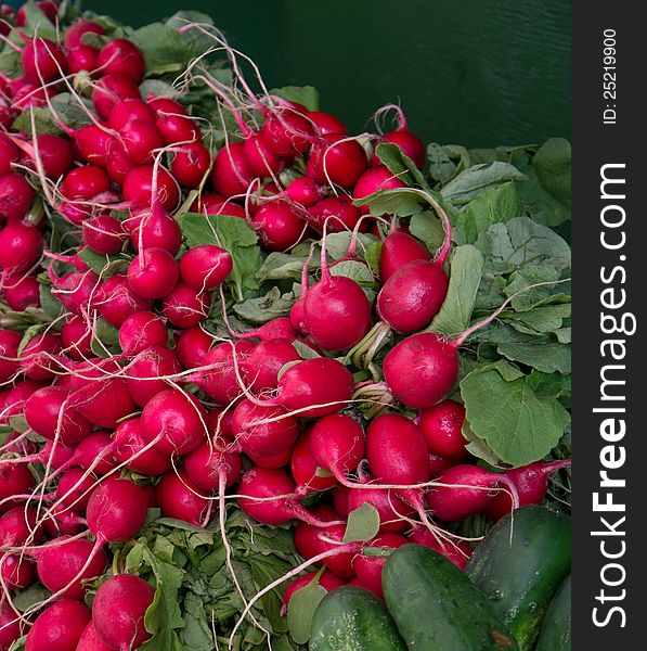 Fresh Radishes on display at a local market. Fresh Radishes on display at a local market.