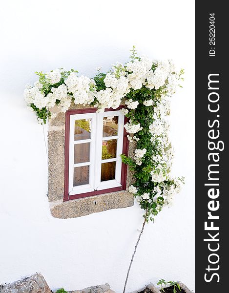 White window with a climbing plant with white flowers, inside the castle walls of Marvao, Portugal.