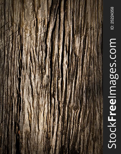Texture of wood. Old wood. Texture of wood. Old wood.