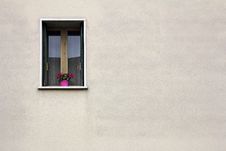 Flowers On The Window Stock Photos Flowers On The Window Stock Photos