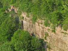 Shear Rock Cliff And Trees Background. Stock Photo