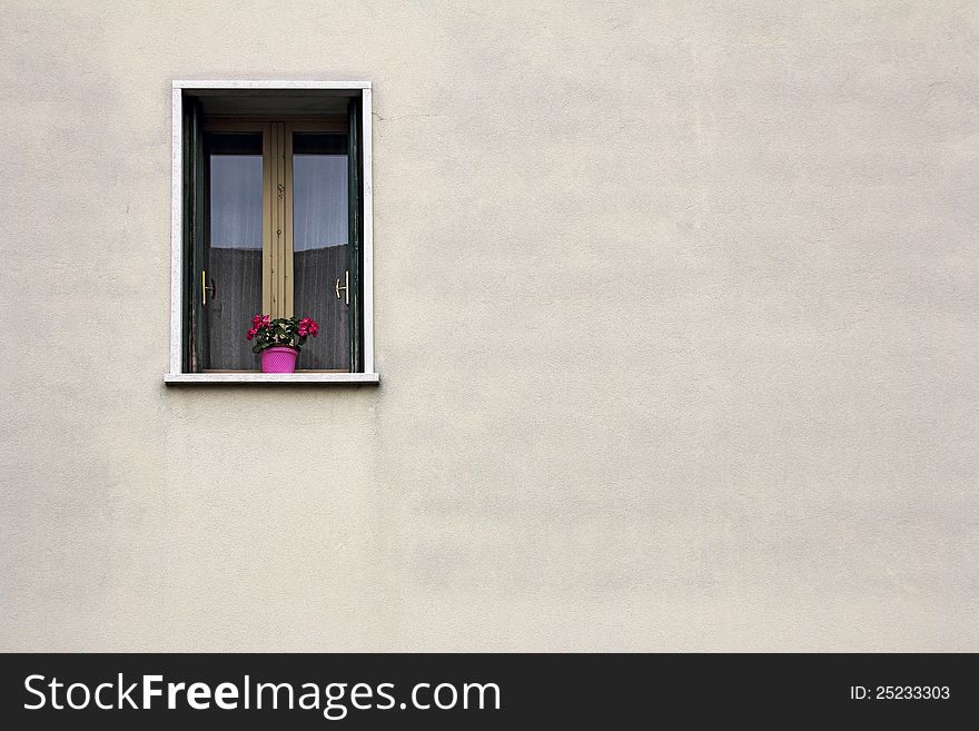 The red flowers on a green window. The red flowers on a green window