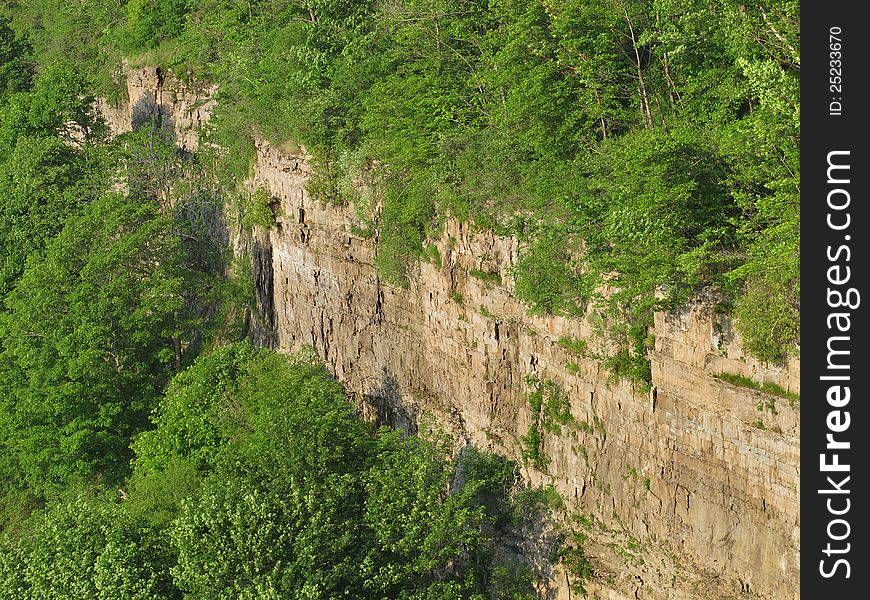 Shear Rock Cliff And Trees Background.