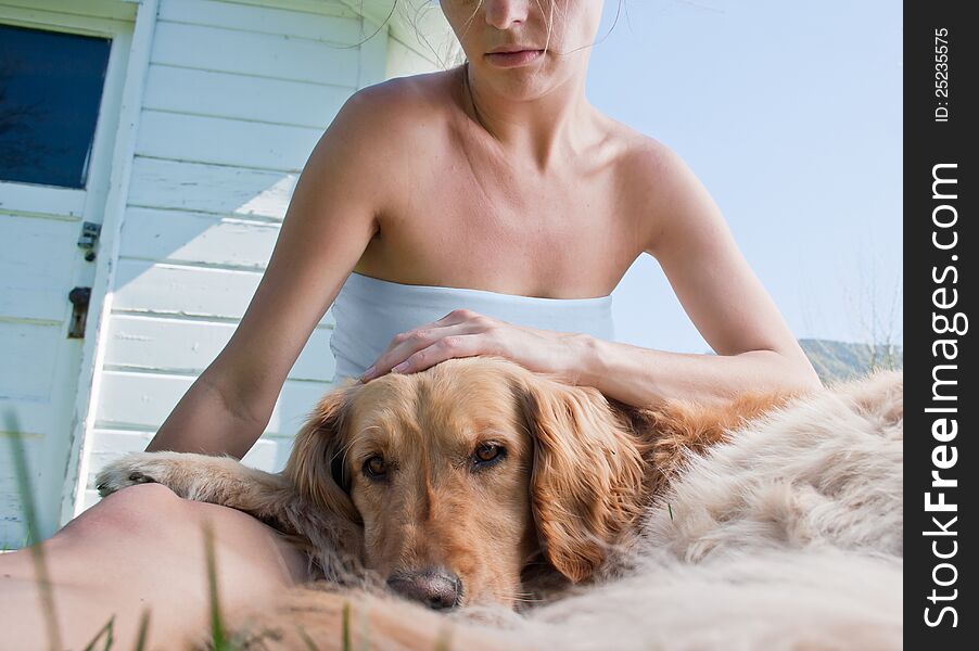 A golden retriever lies on the lap of it's owner, looking into the camera with a look of seriousness. Photo taken outdoors, image slightly toned. A golden retriever lies on the lap of it's owner, looking into the camera with a look of seriousness. Photo taken outdoors, image slightly toned