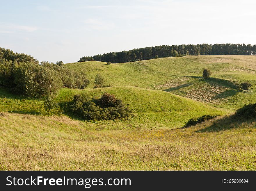 Pasture near Gager (RÃ¼gen). Pasture near Gager (RÃ¼gen)