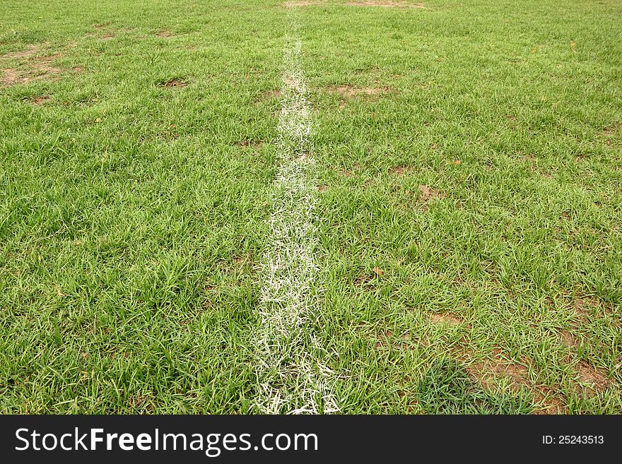 The green turf are marked with white lines of the field.