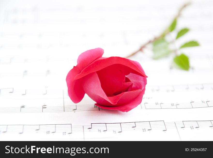 Sheet of classical notes and red rose. Sheet of classical notes and red rose