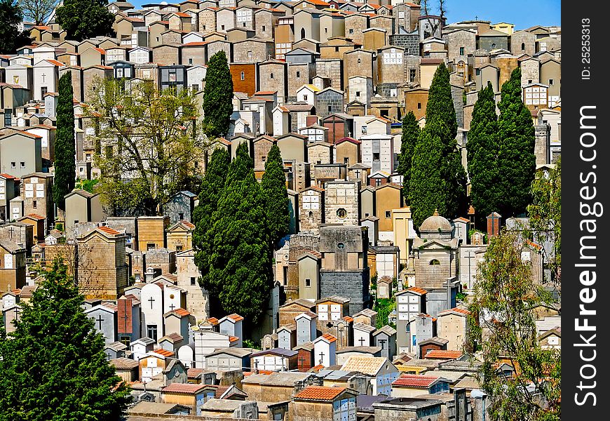 Graveyard on Sicily with numerous tombs between conifers