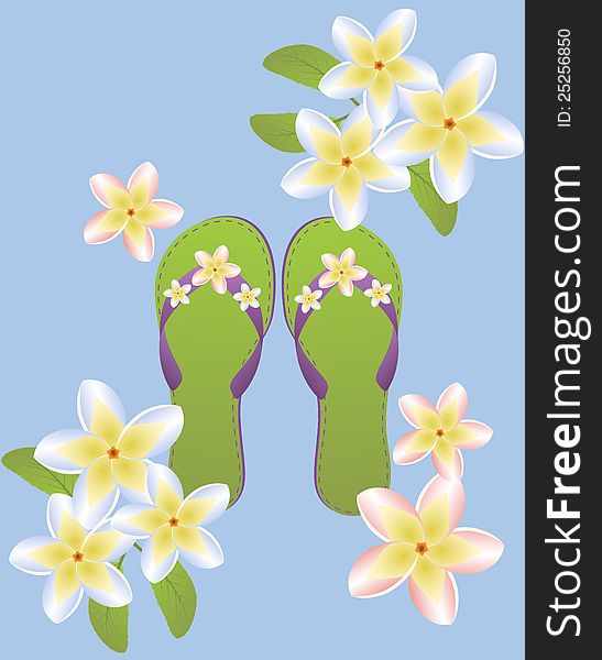 Flip flops with plumeria flowers.