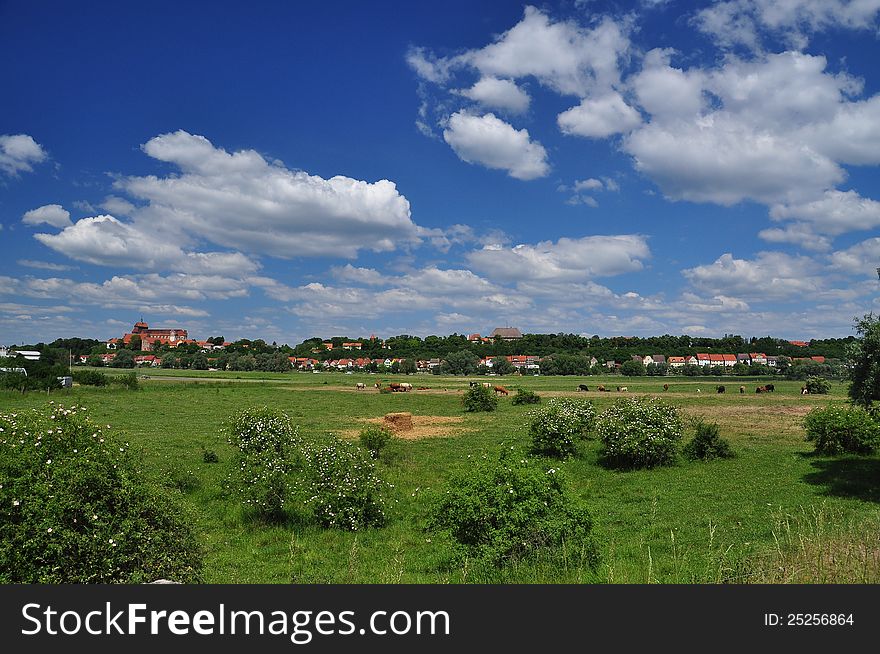 German country landscape. Havelberg Saxony Anhalt.