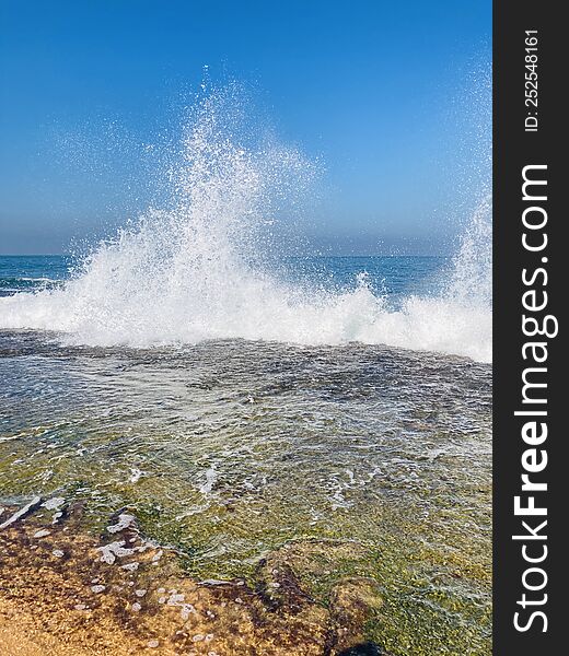 Sri Lankan Beach In Chillaw