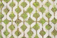 Grass In The Brick Walkway. Royalty Free Stock Images Grass In The Brick Walkway. Royalty Free Stock Images