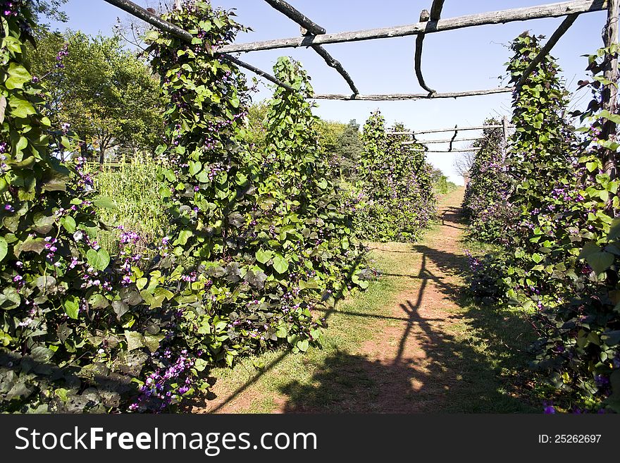 Formal Garden