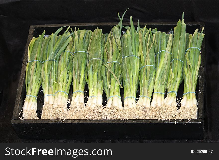 A Box With Bunches of Freshly Picked Spring Onions.