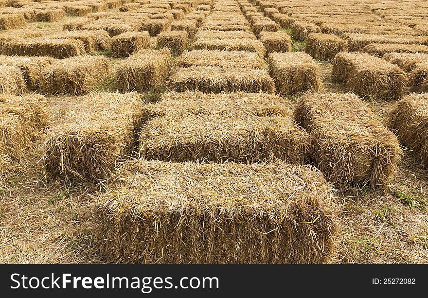 Straw bales in row