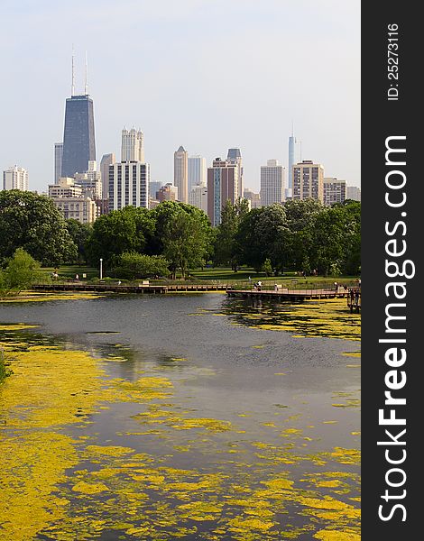 Downtown Chicago view from Lincoln Park