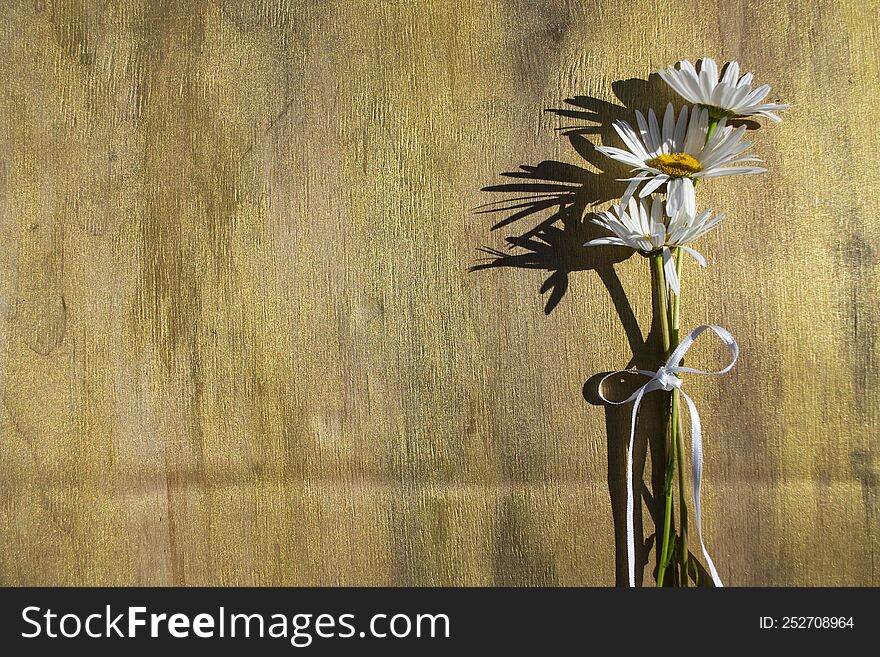 Bouquet of white daisies on a wooden background.