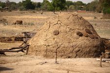 Cow Dung-the Best Natural Fertiliser Stock Images