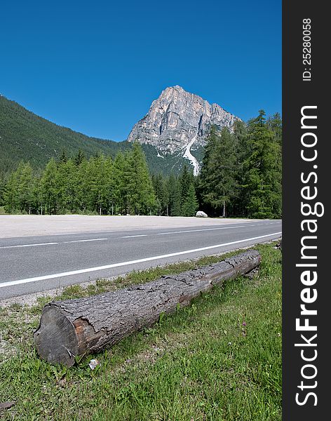 Roadway in mountain with wood on the side and glacier in background