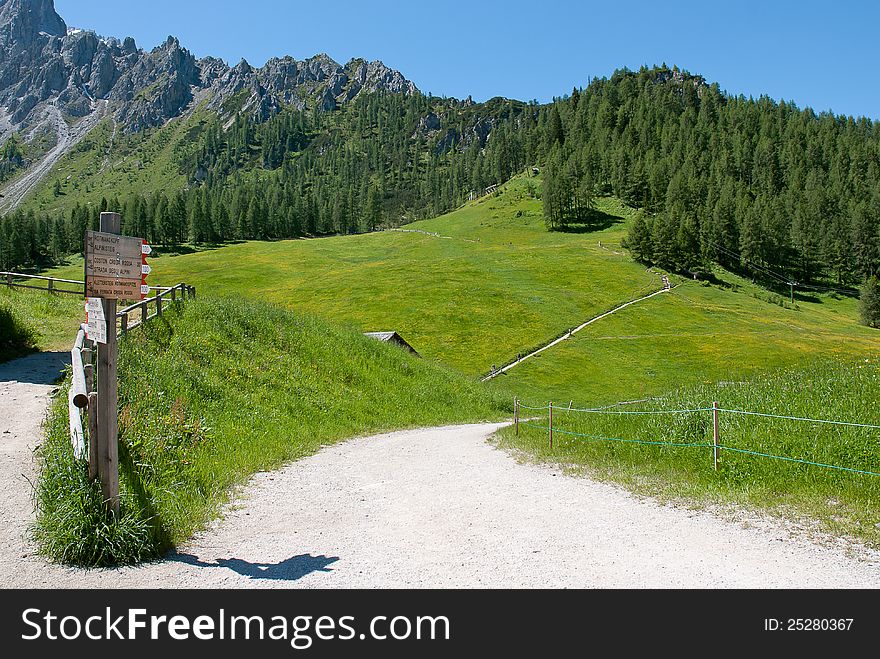 A path in italian Alps with forest in the background and blu sky with wood sign. A path in italian Alps with forest in the background and blu sky with wood sign